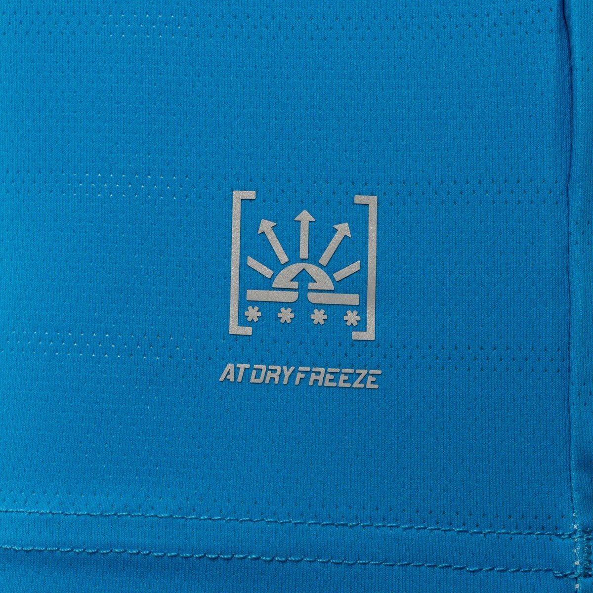 Áo polo Nam APLV683-2V