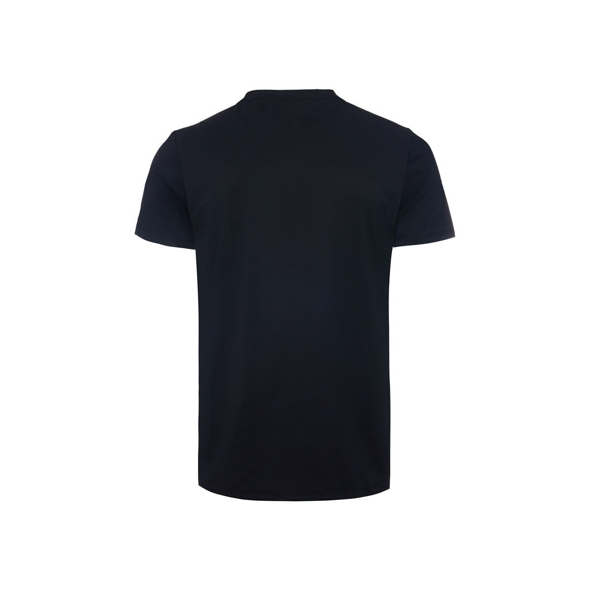 Áo T-shirt Nam ATSW925-4V