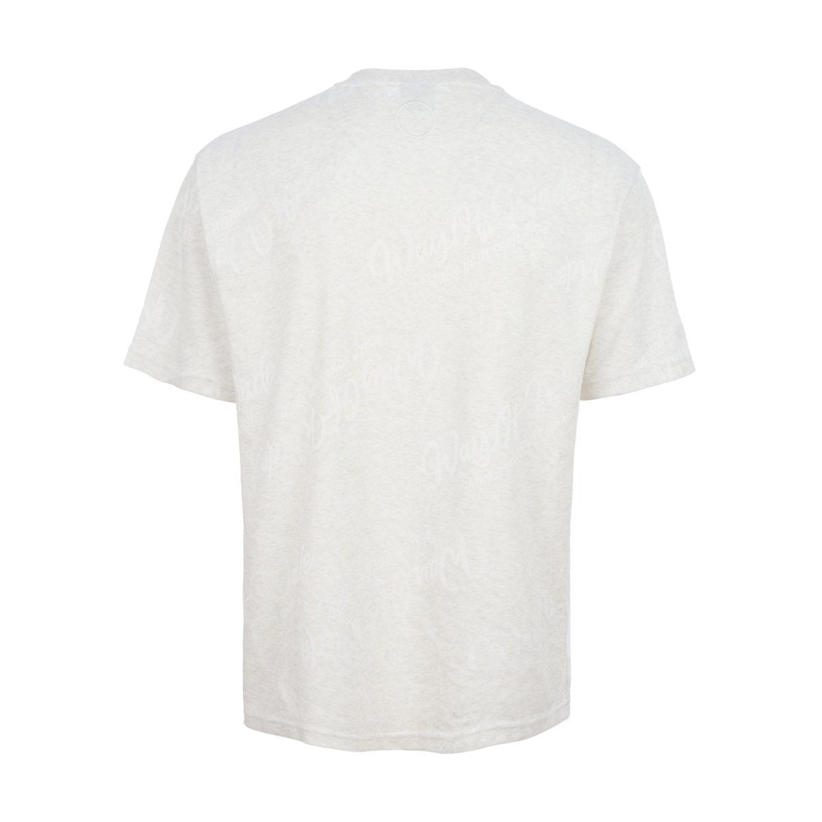 Áo T-shirt Nam AHSV411-4V