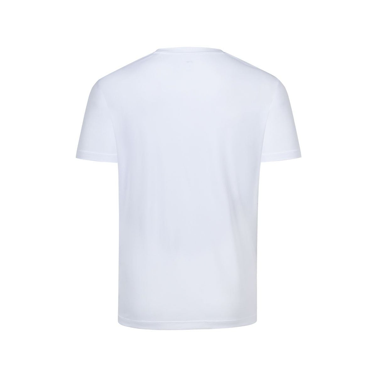 Áo T-shirt Nam YTSW141-1V