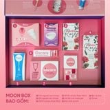 The Moon Box