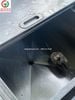 Thùng đá inox thanh lý