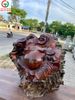 Tượng Phật Di Lặc thanh lý