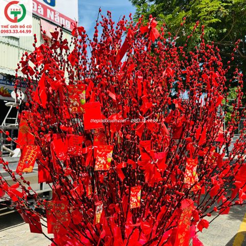Bình hoa nụ tầm xuân thanh lý