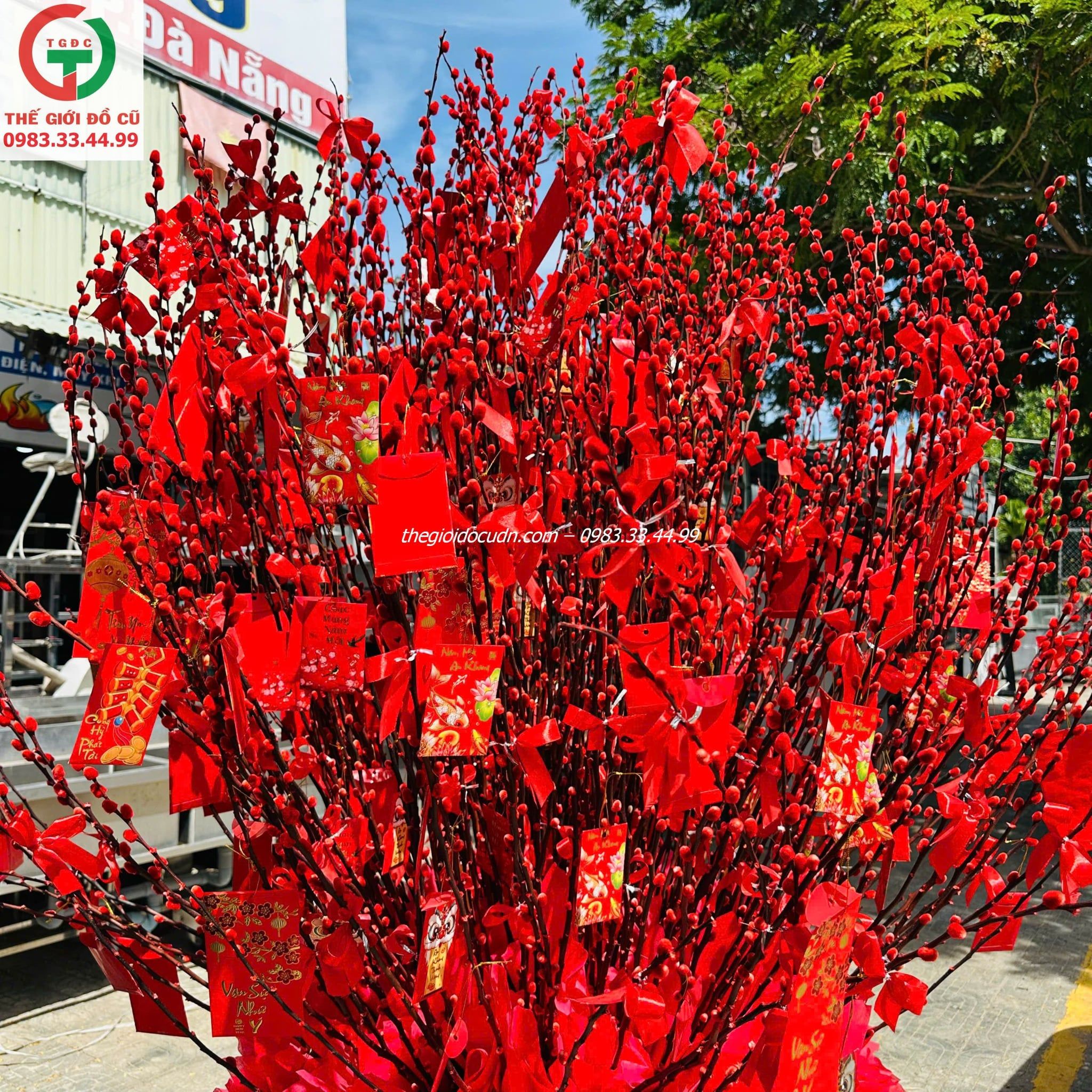 Bình hoa nụ tầm xuân thanh lý