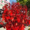 Bình hoa nụ tầm xuân thanh lý
