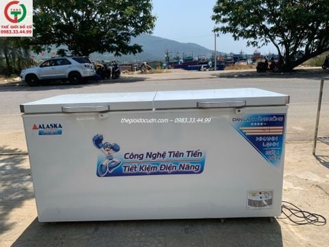 Tủ đông thanh lý