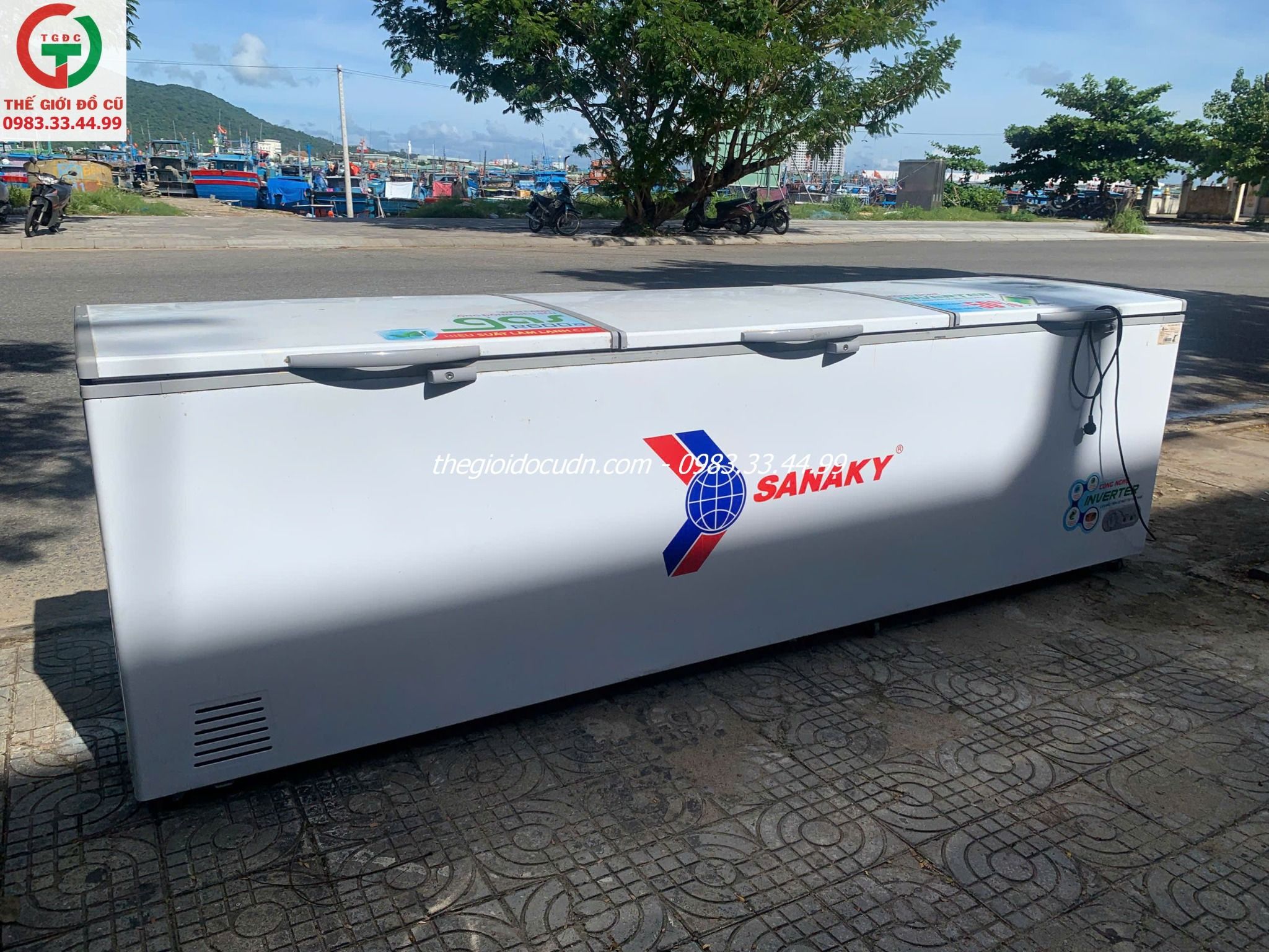 Tủ đông thanh lý