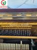 ĐÀN CƠ PIANO APOLLO NHẬT
