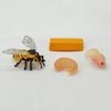 Vòng đời tự nhiên - Ong lớn lên như thế nào?DK81258