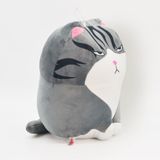 Mèo Sleepy Baby,DK81412