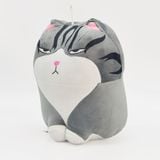 Mèo Sleepy Baby,DK81412