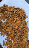 CASSIA SKIN