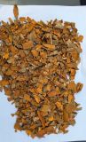 CASSIA SKIN