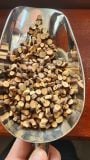 CUT CASSIA BRANCH