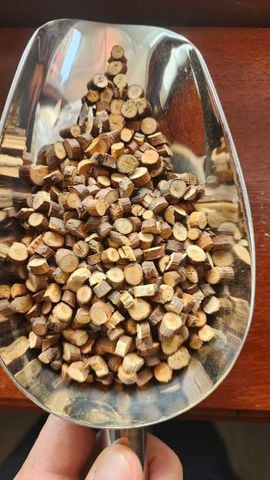CUT CASSIA BRANCH
