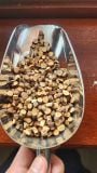 CUT CASSIA BRANCH