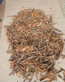 Broken Cassia