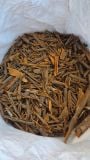 Broken Cassia