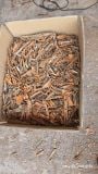Broken Cassia