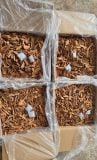 BROKEN CASSIA STICKS