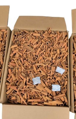 BROKEN CASSIA STICKS