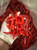 FROZEN RED CHILI