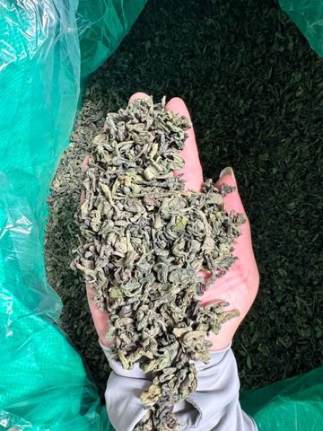 Green Tea Pekoe