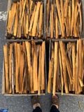 Split Cassia
