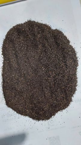 Black Tea PF