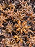 AUTUMN CROP STAR ANISE