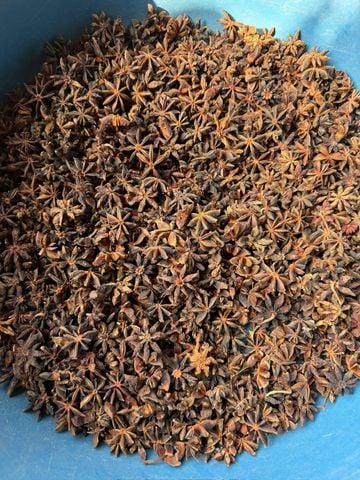 Canh Dan Star Anise