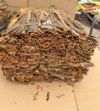 Pressed Cassia