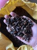 Broken Star Anise