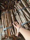 Whole Cassia