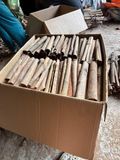 Whole Cassia