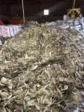 DRIED CASSIA LEAVES