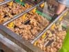 Fresh Ginger