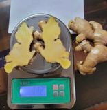 Fresh Ginger