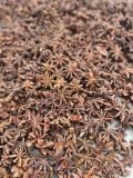 Spring Crop Star Anise