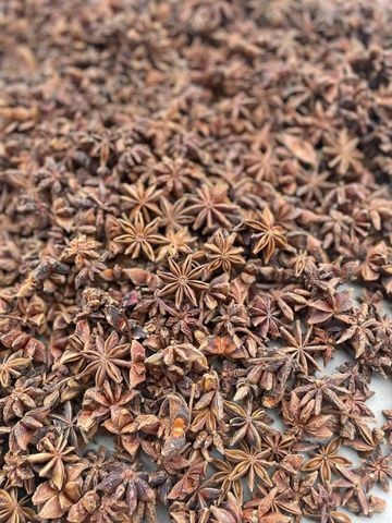 Spring Crop Star Anise
