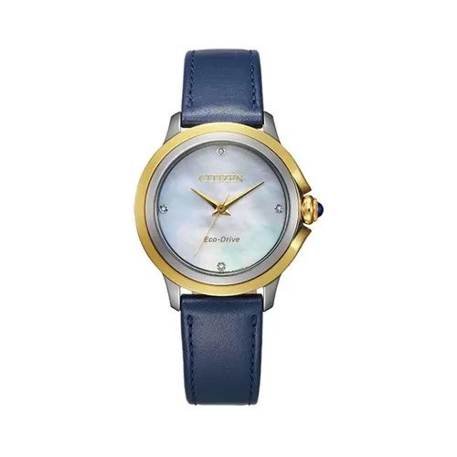  ĐỒNG HỒ CITIZEN EM0794-03Y 