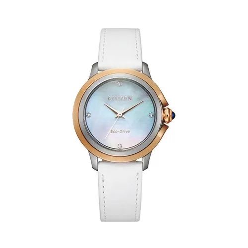  ĐỒNG HỒ CITIZEN EM0796-08Y 