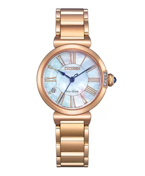  ĐỒNG HỒ CITIZEN EM1063-89D 