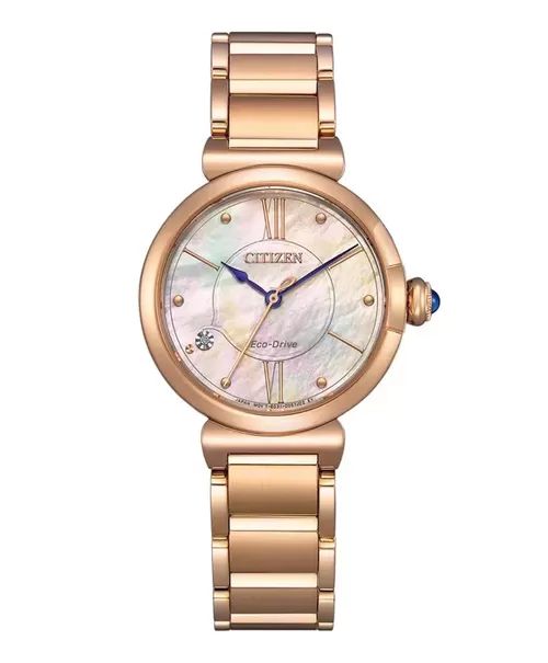  ĐỒNG HỒ CITIZEN EM1073-85Y 