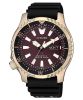  ĐỒNG HỒ CITIZEN NY0083-14X 