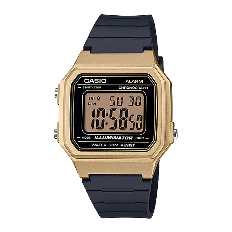  ĐỒNG HỒ CASIO W-217HM-9AVDF 