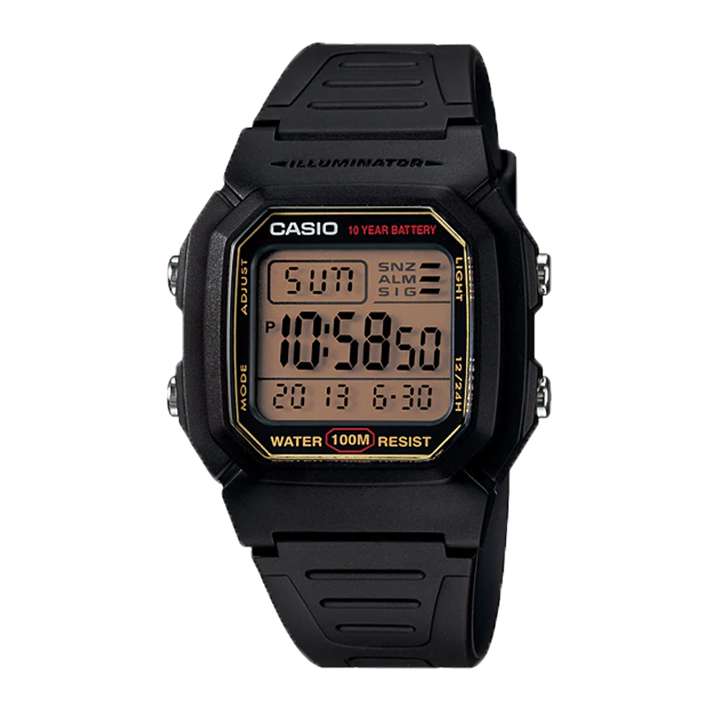  ĐỒNG HỒ CASIO W-800HG-9AVDF 