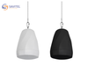  Loa thả trần DSPPA DSP5053 