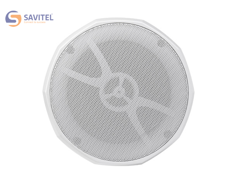  Loa thả trần DSPPA DSP5053 